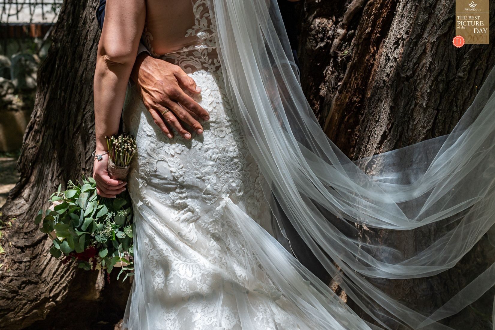 picture-of-the-day-prowedaward-toni-bazan picture-of-the-day-prowedaward-toni-bazan