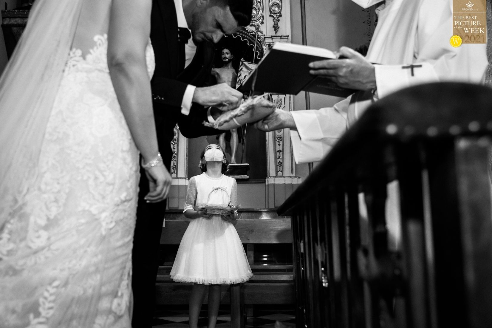 picture-of-the-week-prowedaward-toni-bazan picture-of-the-week-prowedaward-toni-bazan